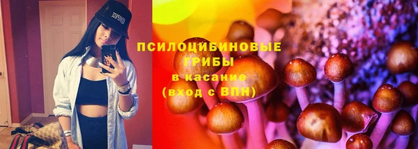 таблы Богородицк