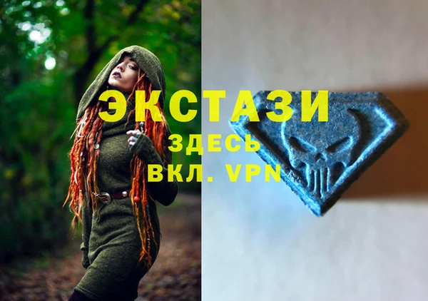 таблы Богородицк