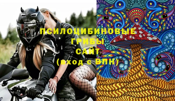 таблы Богородицк