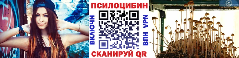 дарк нет как зайти  Свирск  Галлюциногенные грибы Psilocybine cubensis 